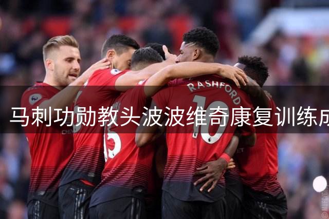 马刺功勋教头波波维奇康复训练成效显著 CEO亲述恢复细节
